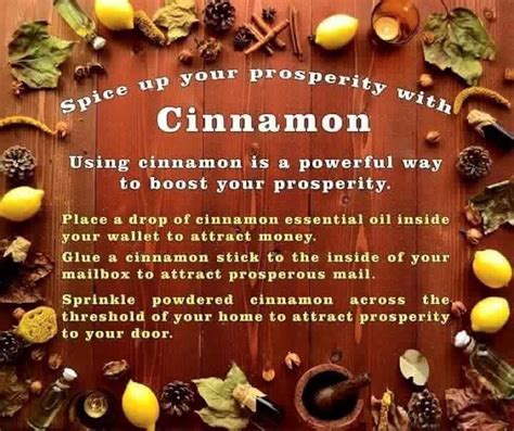 Cinnamon: A Versatile Ingredient in Witchcraft and Herbalism